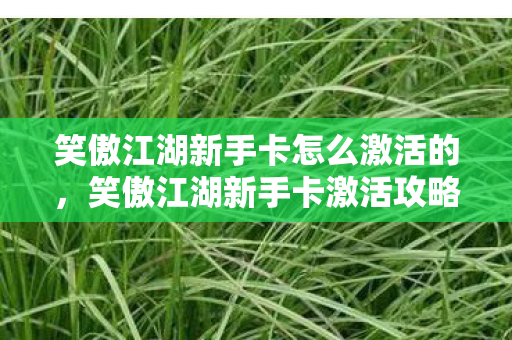 笑傲江湖新手卡怎么激活的,笑傲江湖新手卡激活攻略 笑傲江湖新手卡怎么激活的,笑傲江湖新手卡激活攻略