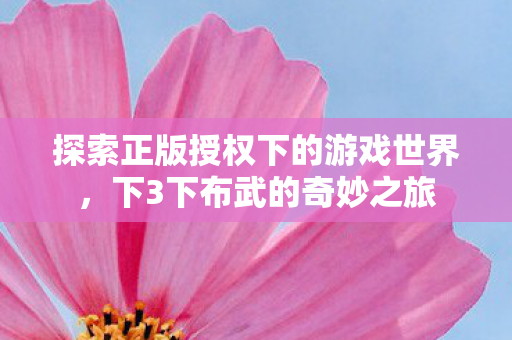 探索正版授权下的游戏世界,下3下布武的奇妙之旅 探索正版授权下的游戏世界,下3下布武的奇妙之旅
