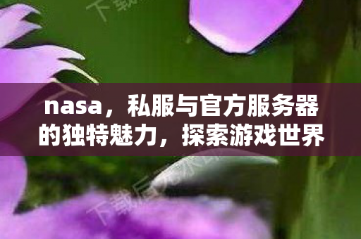 nasa,私服与官方服务器的独特魅力,探索游戏世界的不同维度 nasa,私服与官方服务器的独特魅力,探索游戏世界的不同维度