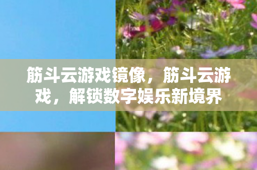 筋斗云游戏镜像，筋斗云游戏，解锁数字娱乐新境界