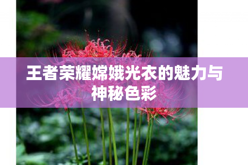 王者荣耀嫦娥光衣的魅力与神秘色彩 王者荣耀嫦娥光衣的魅力与神秘色彩