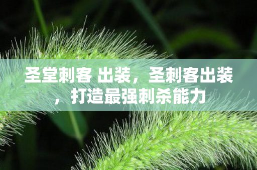 圣堂刺客 出装,圣刺客出装,打造最强刺杀能力 圣堂刺客 出装,圣刺客出装,打造最强刺杀能力