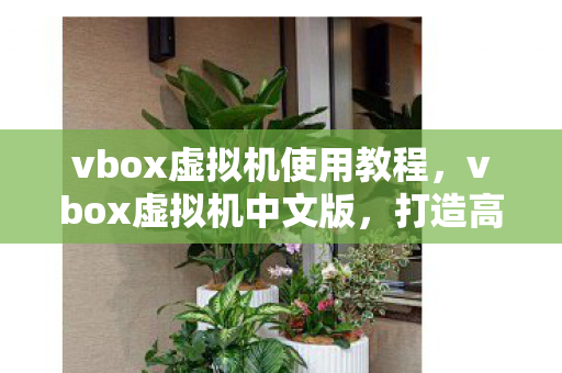 vbox虚拟机使用教程,vbox虚拟机中文版,打造高效虚拟环境的利器 vbox虚拟机使用教程,vbox虚拟机中文版,打造高效虚拟环境的利器