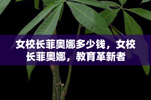 女校长菲奥娜多少钱,女校长菲奥娜,教育革新者 女校长菲奥娜多少钱,女校长菲奥娜,教育革新者