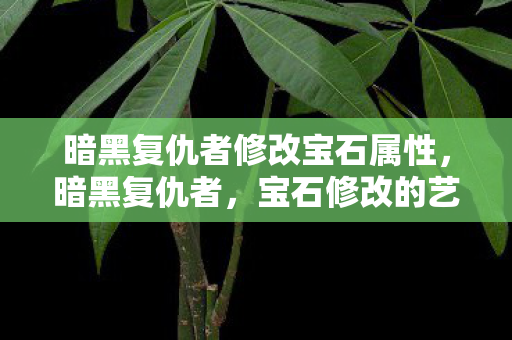 暗黑复仇者修改宝石属性,暗黑复仇者,宝石修改的艺术 暗黑复仇者修改宝石属性,暗黑复仇者,宝石修改的艺术