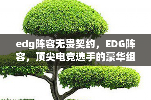 edg阵容无畏契约,EDG阵容,顶尖电竞选手的豪华组合 edg阵容无畏契约,EDG阵容,顶尖电竞选手的豪华组合