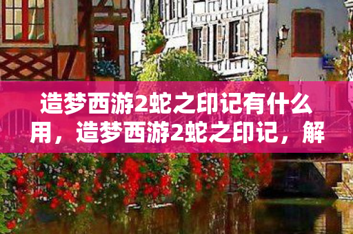 造梦西游2蛇之印记有什么用，造梦西游2蛇之印记，解锁神秘力量的关键