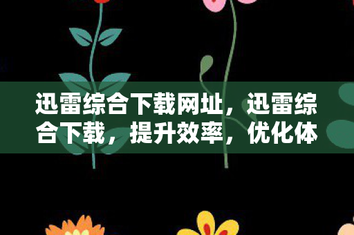 迅雷综合下载网址，迅雷综合下载，提升效率，优化体验