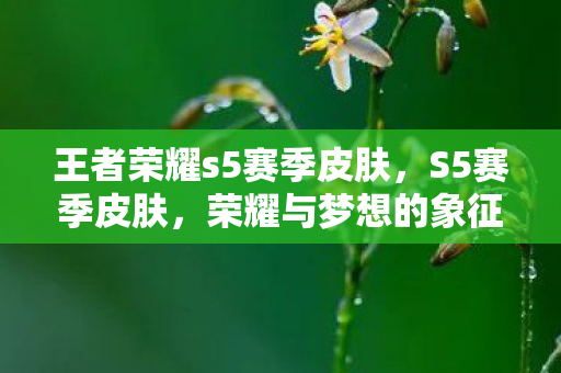 王者荣耀s5赛季皮肤,S5赛季皮肤,荣耀与梦想的象征 王者荣耀s5赛季皮肤,S5赛季皮肤,荣耀与梦想的象征