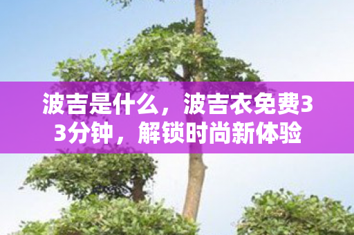 波吉是什么,波吉衣免费33分钟,解锁时尚新体验 波吉是什么,波吉衣免费33分钟,解锁时尚新体验