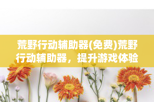 荒野行动辅助器(免费)荒野行动辅助器,提升游戏体验的明智选择 荒野行动辅助器(免费)荒野行动辅助器,提升游戏体验的明智选择
