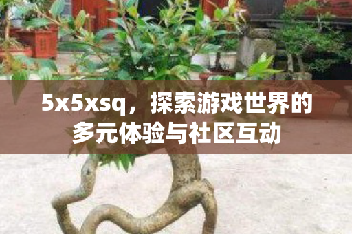 5x5xsq,探索游戏世界的多元体验与社区互动 5x5xsq,探索游戏世界的多元体验与社区互动