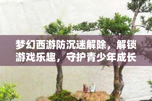 梦幻西游防沉迷解除，解锁游戏乐趣，守护青少年成长