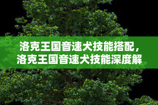 洛克王国音速犬技能搭配,洛克王国音速犬技能深度解析 洛克王国音速犬技能搭配,洛克王国音速犬技能深度解析