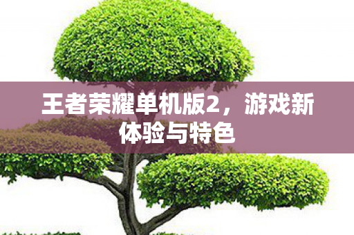 王者荣耀单机版2,游戏新体验与特色 王者荣耀单机版2,游戏新体验与特色