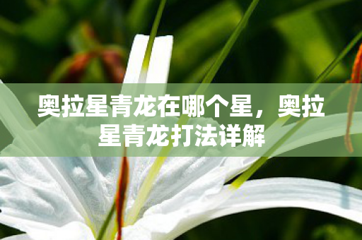 奥拉星青龙在哪个星，奥拉星青龙打法详解