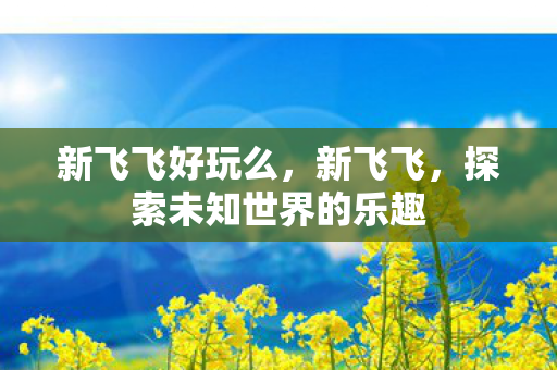 新飞飞好玩么,新飞飞,探索未知世界的乐趣 新飞飞好玩么,新飞飞,探索未知世界的乐趣