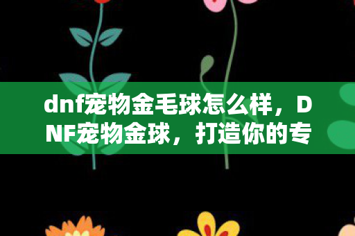 dnf宠物金毛球怎么样,DNF宠物金球,打造你的专属战斗伙伴 dnf宠物金毛球怎么样,DNF宠物金球,打造你的专属战斗伙伴