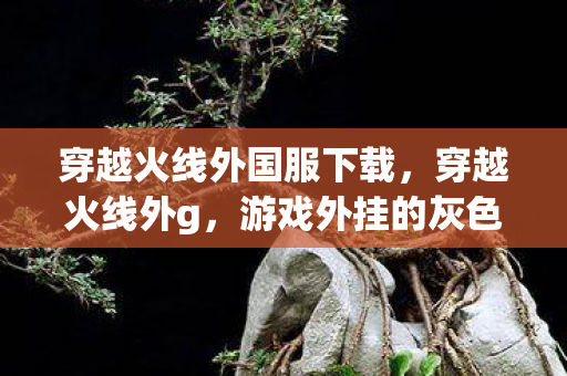 穿越火线外国服下载,穿越火线外g,游戏外挂的灰色阴影 穿越火线外国服下载,穿越火线外g,游戏外挂的灰色阴影