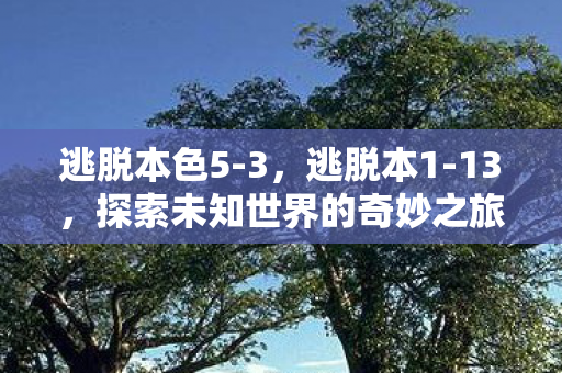 逃脱本色5-3，逃脱本1-13，探索未知世界的奇妙之旅