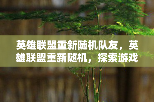 英雄联盟重新随机队友，英雄联盟重新随机，探索游戏内的新奇与未知