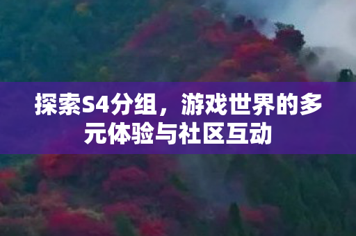 探索S4分组，游戏世界的多元体验与社区互动