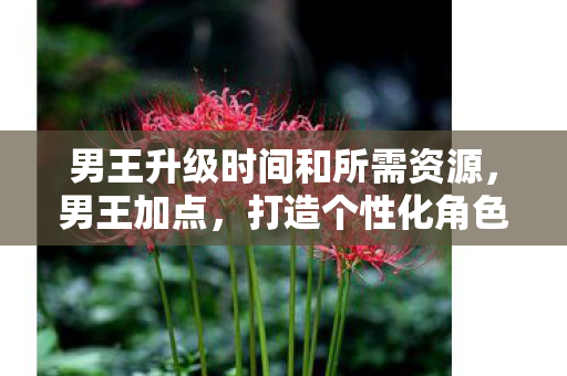 男王升级时间和所需资源,男王加点,打造个性化角色,畅游奇幻世界 男王升级时间和所需资源,男王加点,打造个性化角色,畅游奇幻世界