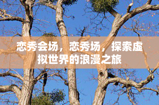 恋秀会场,恋秀场,探索虚拟世界的浪漫之旅 恋秀会场,恋秀场,探索虚拟世界的浪漫之旅