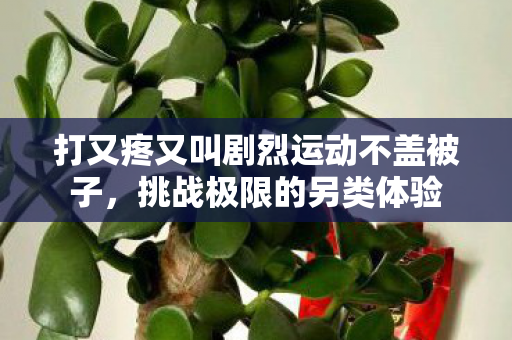 打又疼又叫剧烈运动不盖被子,挑战极限的另类体验 打又疼又叫剧烈运动不盖被子,挑战极限的另类体验