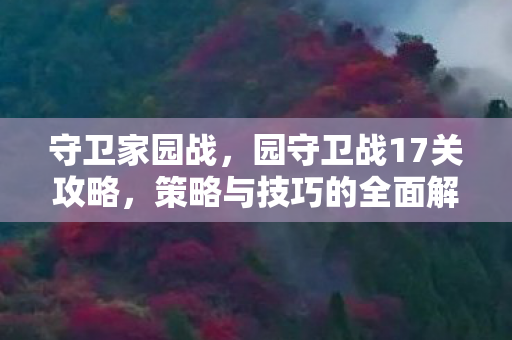 守卫家园战,园守卫战17关攻略,策略与技巧的全面解析 守卫家园战,园守卫战17关攻略,策略与技巧的全面解析