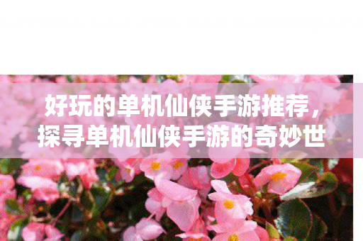 好玩的单机仙侠手游推荐,探寻单机仙侠手游的奇妙世界 好玩的单机仙侠手游推荐,探寻单机仙侠手游的奇妙世界