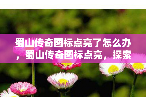 蜀山传奇图标点亮了怎么办,蜀山传奇图标点亮,探索经典游戏的魅力与传承 蜀山传奇图标点亮了怎么办,蜀山传奇图标点亮,探索经典游戏的魅力与传承