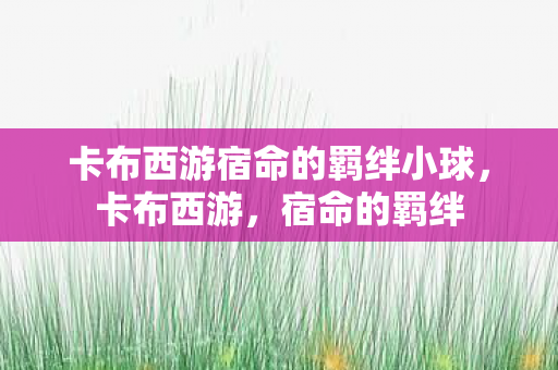 卡布西游宿命的羁绊小球,卡布西游,宿命的羁绊 卡布西游宿命的羁绊小球,卡布西游,宿命的羁绊