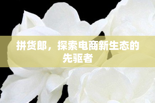 拼货郎，探索电商新生态的先驱者