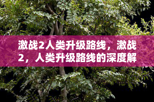 激战2人类升级路线,激战2,人类升级路线的深度解析 激战2人类升级路线,激战2,人类升级路线的深度解析