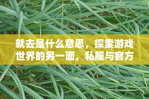 就去是什么意思,探索游戏世界的另一面,私服与官方服务器的独特魅力 就去是什么意思,探索游戏世界的另一面,私服与官方服务器的独特魅力