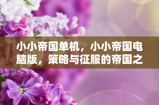 小小帝国单机,小小帝国电脑版,策略与征服的帝国之旅 小小帝国单机,小小帝国电脑版,策略与征服的帝国之旅