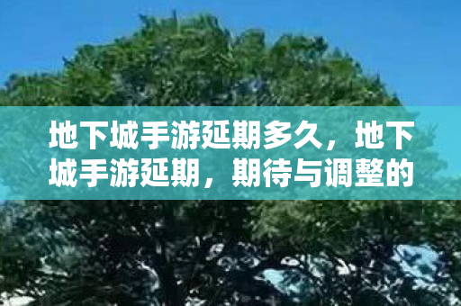 地下城手游延期多久,地下城手游延期,期待与调整的交织 地下城手游延期多久,地下城手游延期,期待与调整的交织