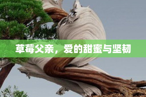 草莓父亲，爱的甜蜜与坚韧