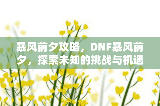 暴风前夕攻略,DNF暴风前夕,探索未知的挑战与机遇 暴风前夕攻略,DNF暴风前夕,探索未知的挑战与机遇