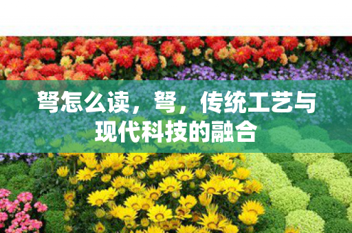 弩怎么读,弩,传统工艺与现代科技的融合 弩怎么读,弩,传统工艺与现代科技的融合