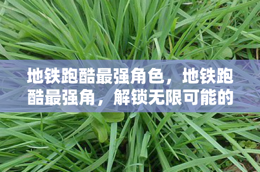 地铁跑酷最强角色,地铁跑酷最强角,解锁无限可能的跑酷技巧 地铁跑酷最强角色,地铁跑酷最强角,解锁无限可能的跑酷技巧