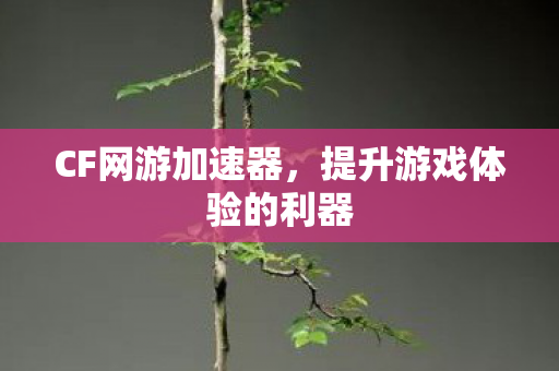CF网游加速器，提升游戏体验的利器