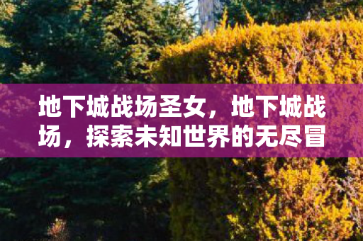 地下城战场圣女,地下城战场,探索未知世界的无尽冒险 地下城战场圣女,地下城战场,探索未知世界的无尽冒险