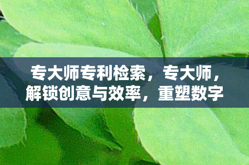专大师专利检索,专大师,解锁创意与效率,重塑数字内容创作新生态 专大师专利检索,专大师,解锁创意与效率,重塑数字内容创作新生态
