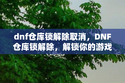 dnf仓库锁解除取消,DNF仓库锁解除,解锁你的游戏财富 dnf仓库锁解除取消,DNF仓库锁解除,解锁你的游戏财富