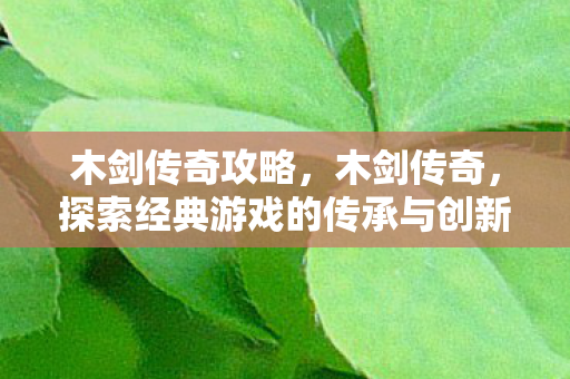 木剑传奇攻略,木剑传奇,探索经典游戏的传承与创新 木剑传奇攻略,木剑传奇,探索经典游戏的传承与创新