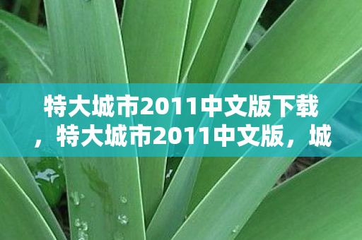 特大城市2011中文版下载,特大城市2011中文版,城市模拟与策略管理的深度体验 特大城市2011中文版下载,特大城市2011中文版,城市模拟与策略管理的深度体验
