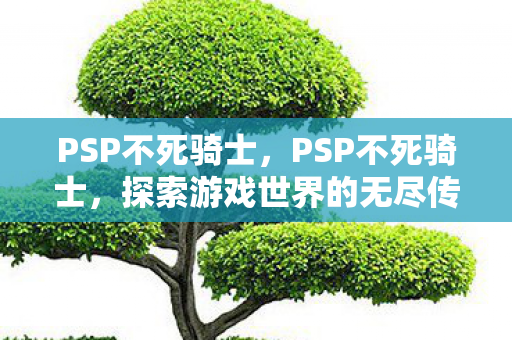 PSP不死骑士,PSP不死骑士,探索游戏世界的无尽传奇 PSP不死骑士,PSP不死骑士,探索游戏世界的无尽传奇
