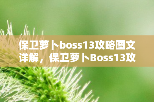 保卫萝卜boss13攻略图文详解,保卫萝卜Boss13攻略 保卫萝卜boss13攻略图文详解,保卫萝卜Boss13攻略